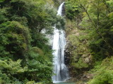 img0055.jpg