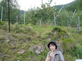 img0062.jpg