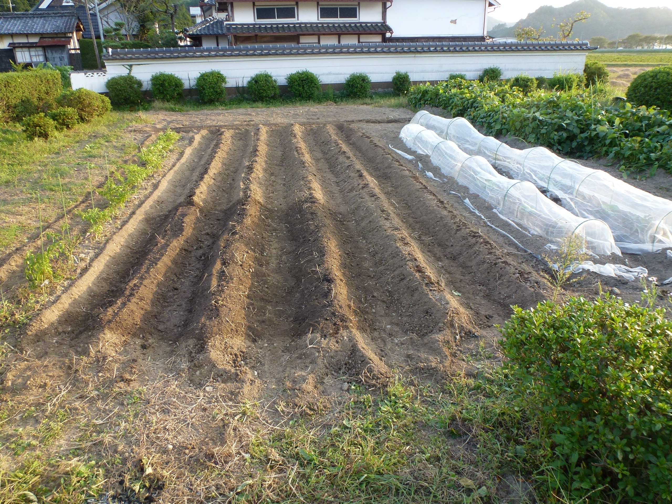 P1130095.JPG