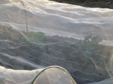img0002.jpg