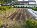 img0004.jpg