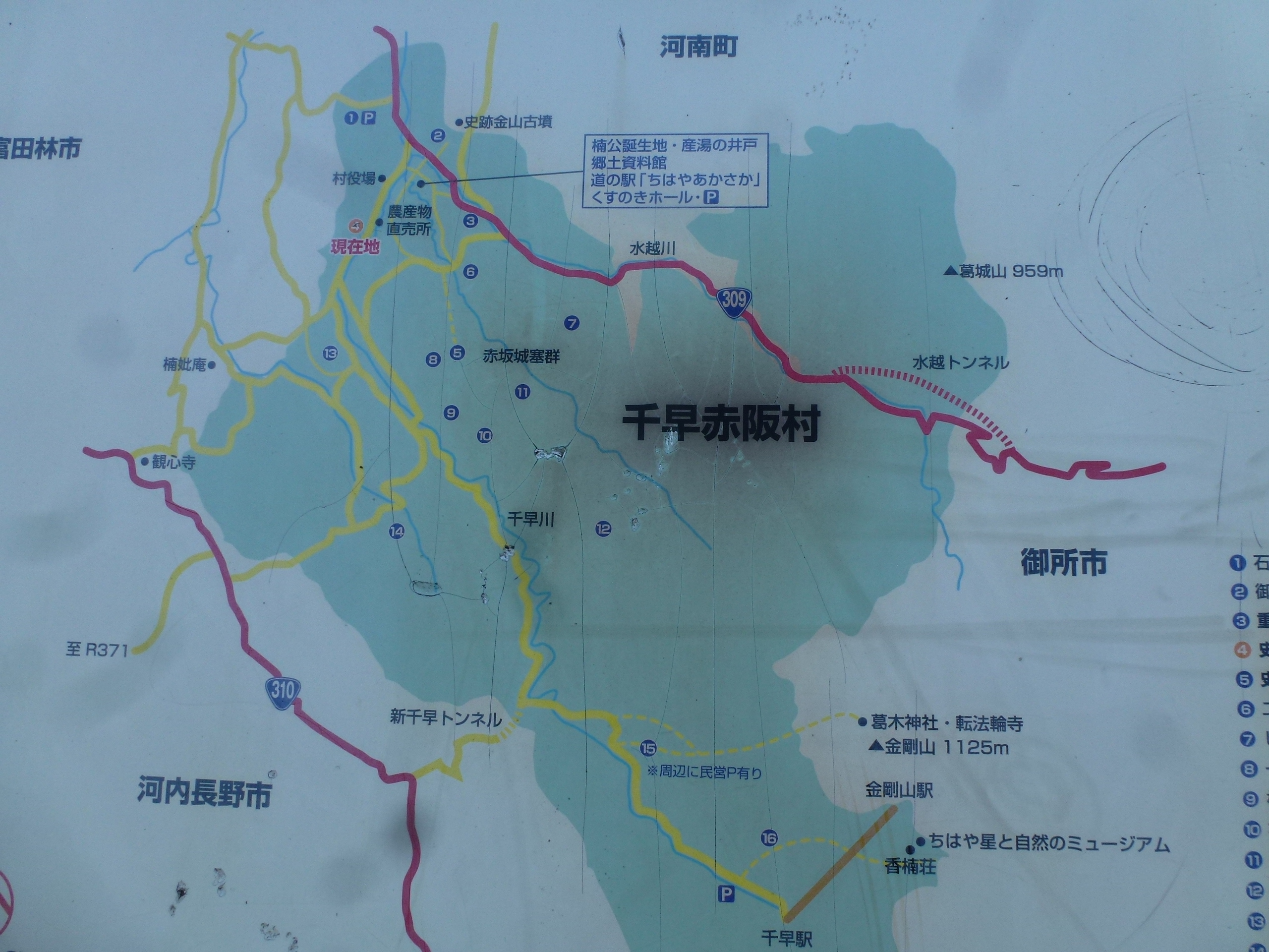 P1130527.JPG