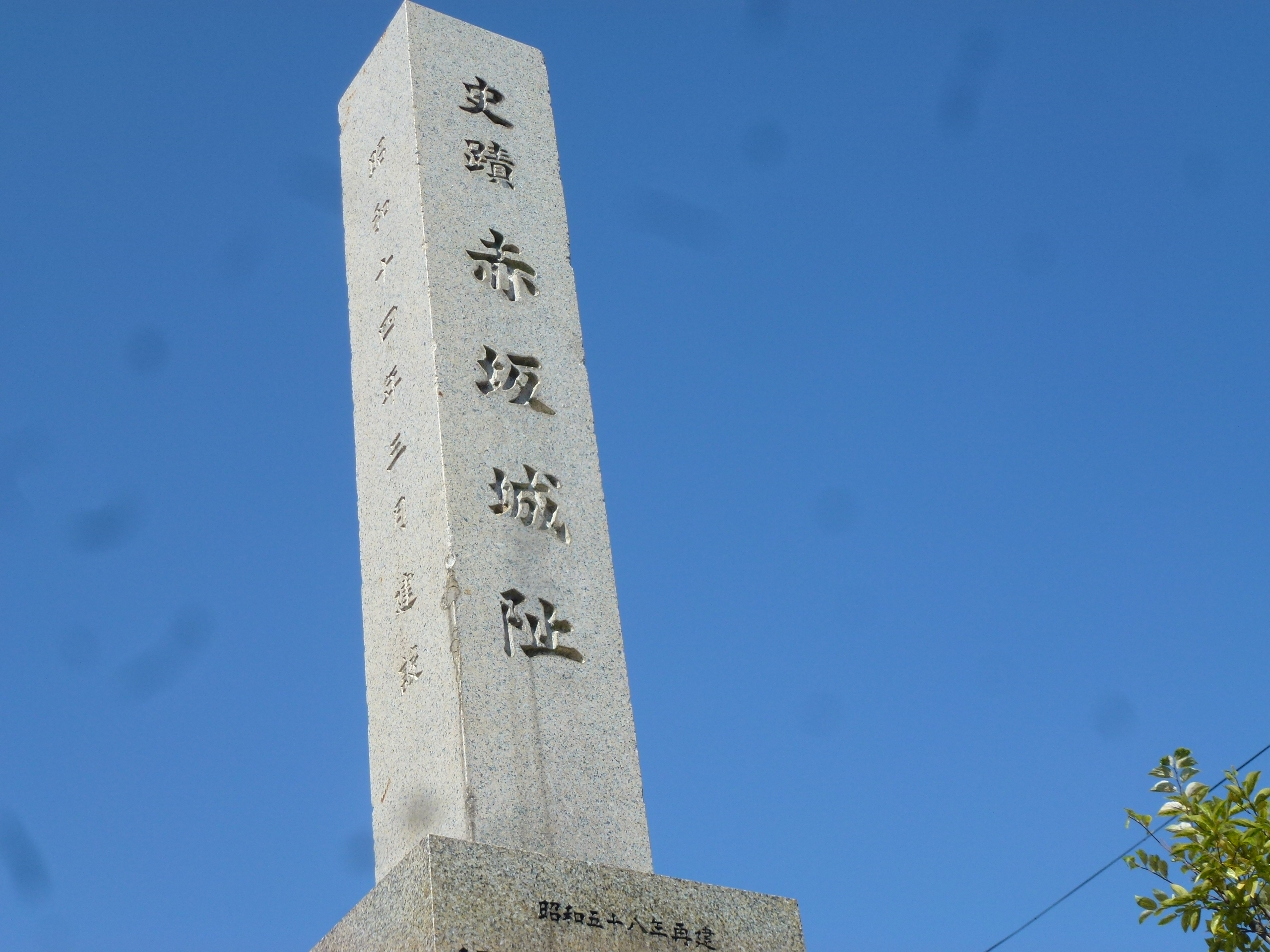 P1130535.JPG