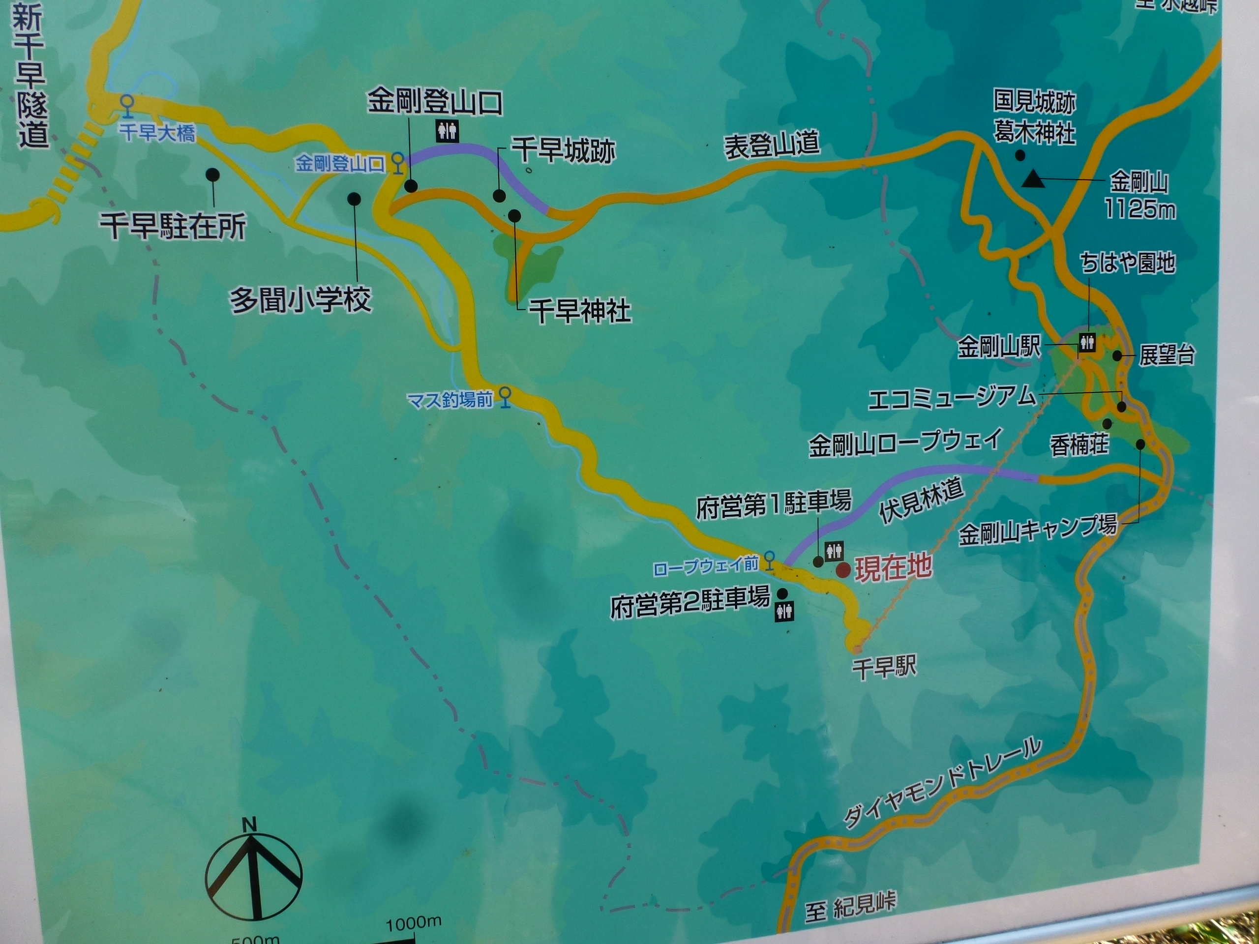 P1130538.JPG