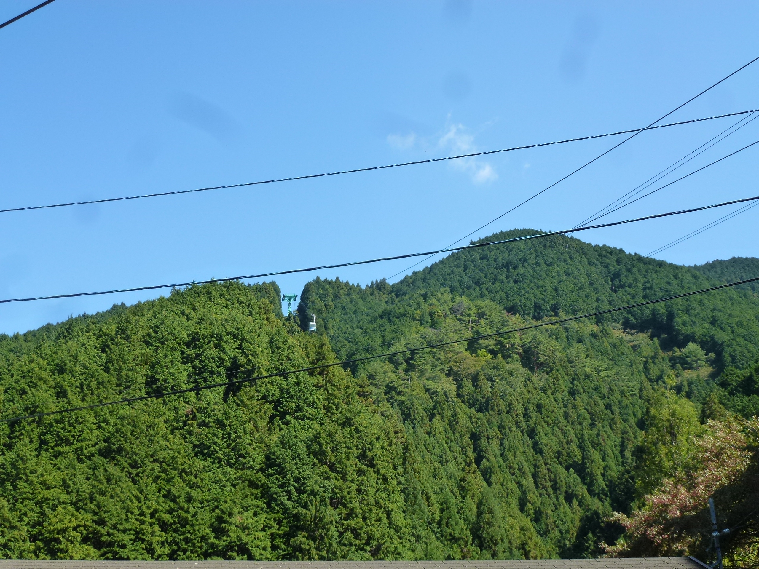 P1130539.JPG