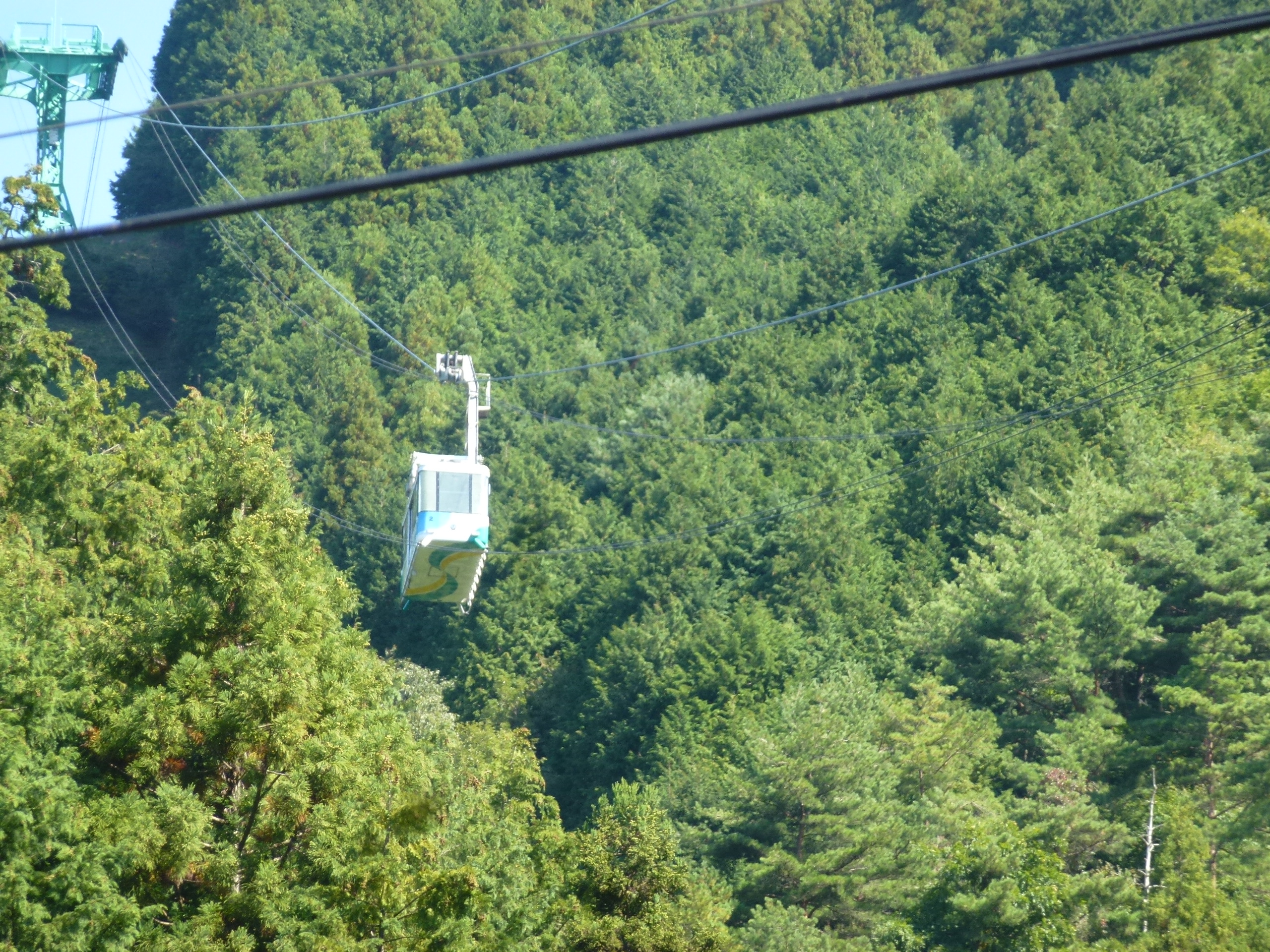 P1130541.JPG