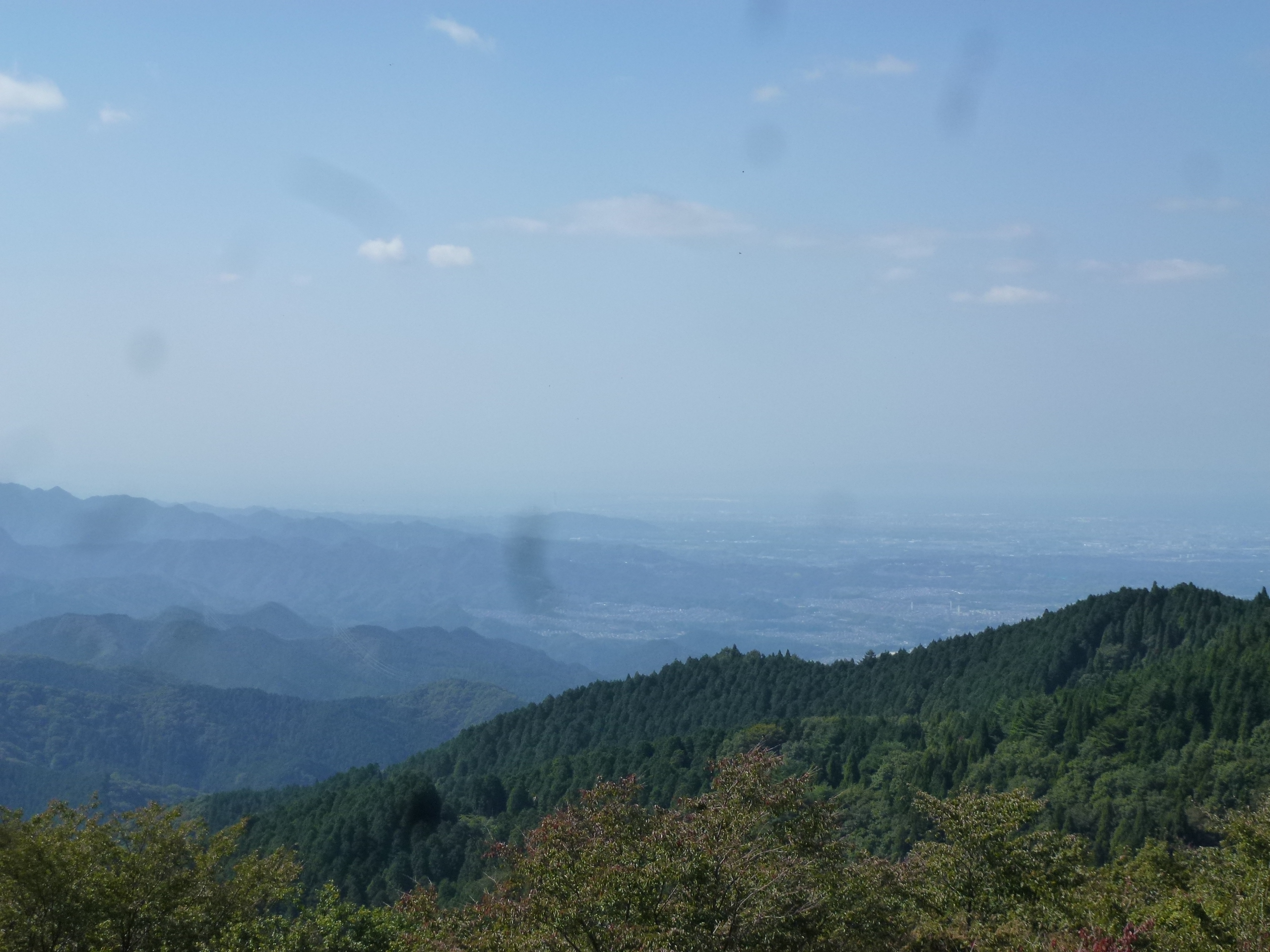 P1130550.JPG