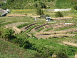 img0002.jpg