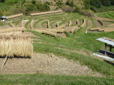 img0004.jpg