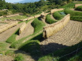 img0005.jpg