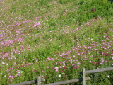 img0007.jpg