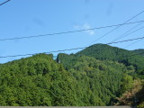 img0013.jpg