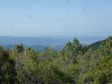 img0021.jpg