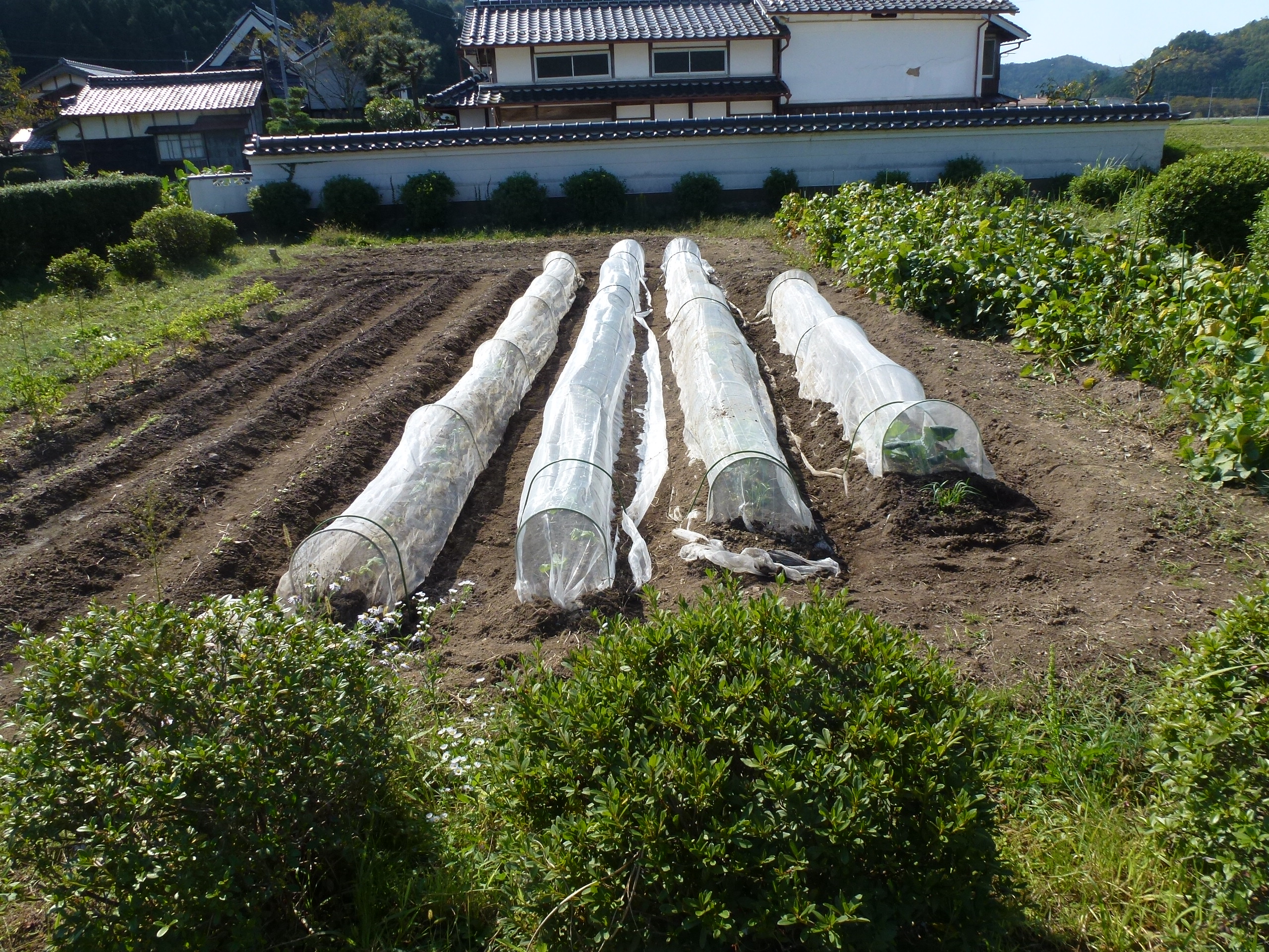 P1130555.JPG