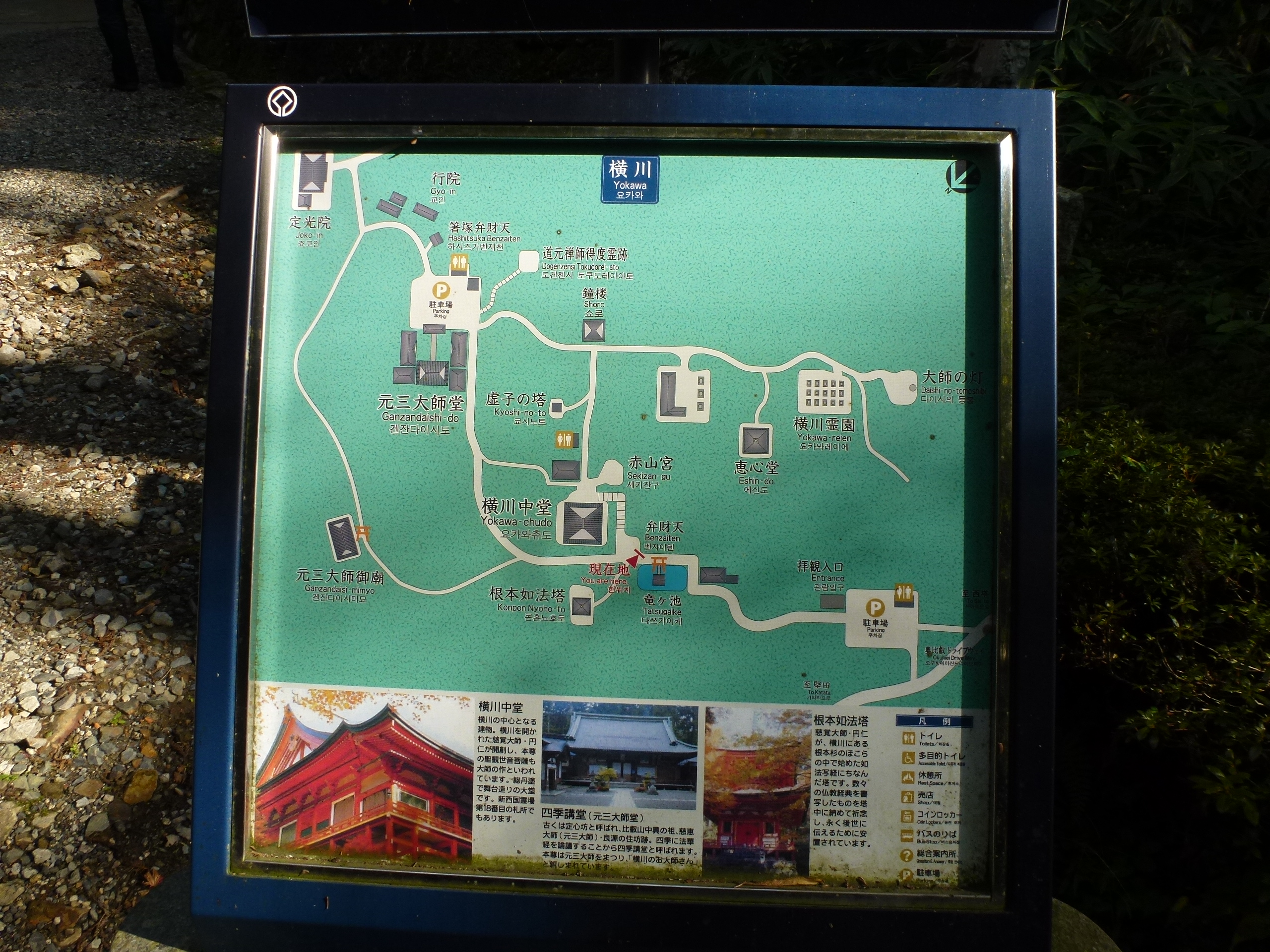 P1130563.JPG