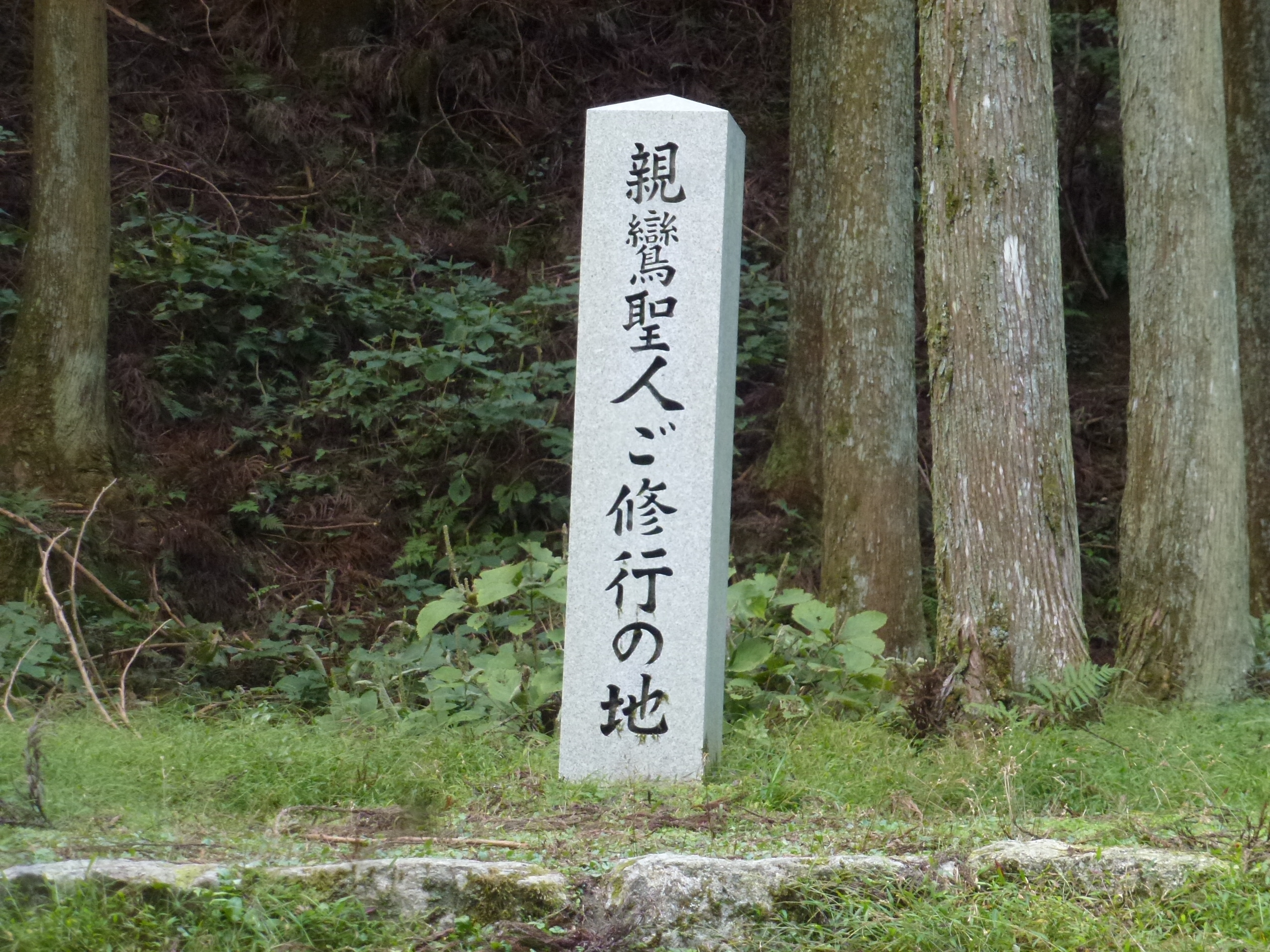 P1130568.JPG
