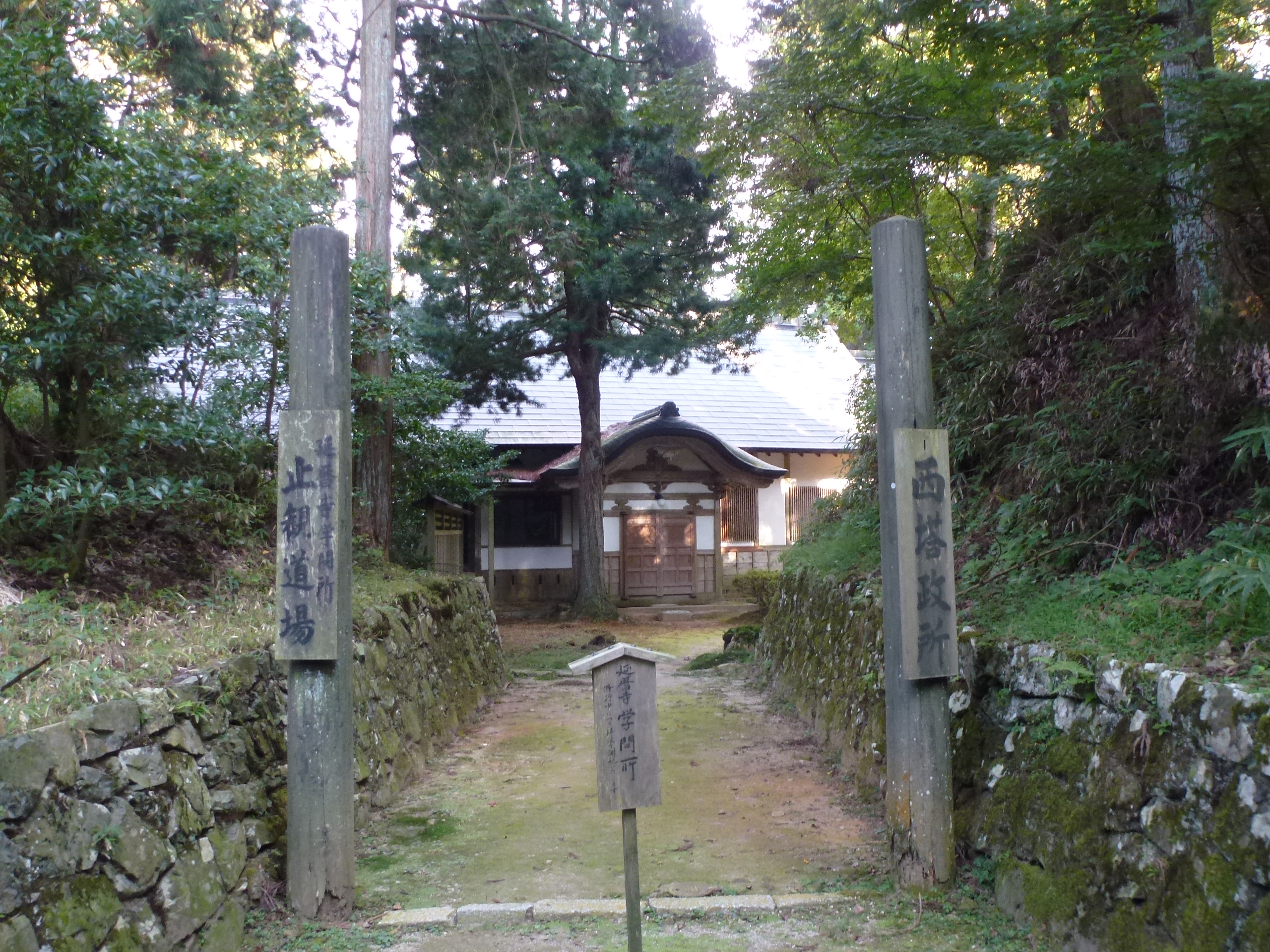 P1130574.JPG