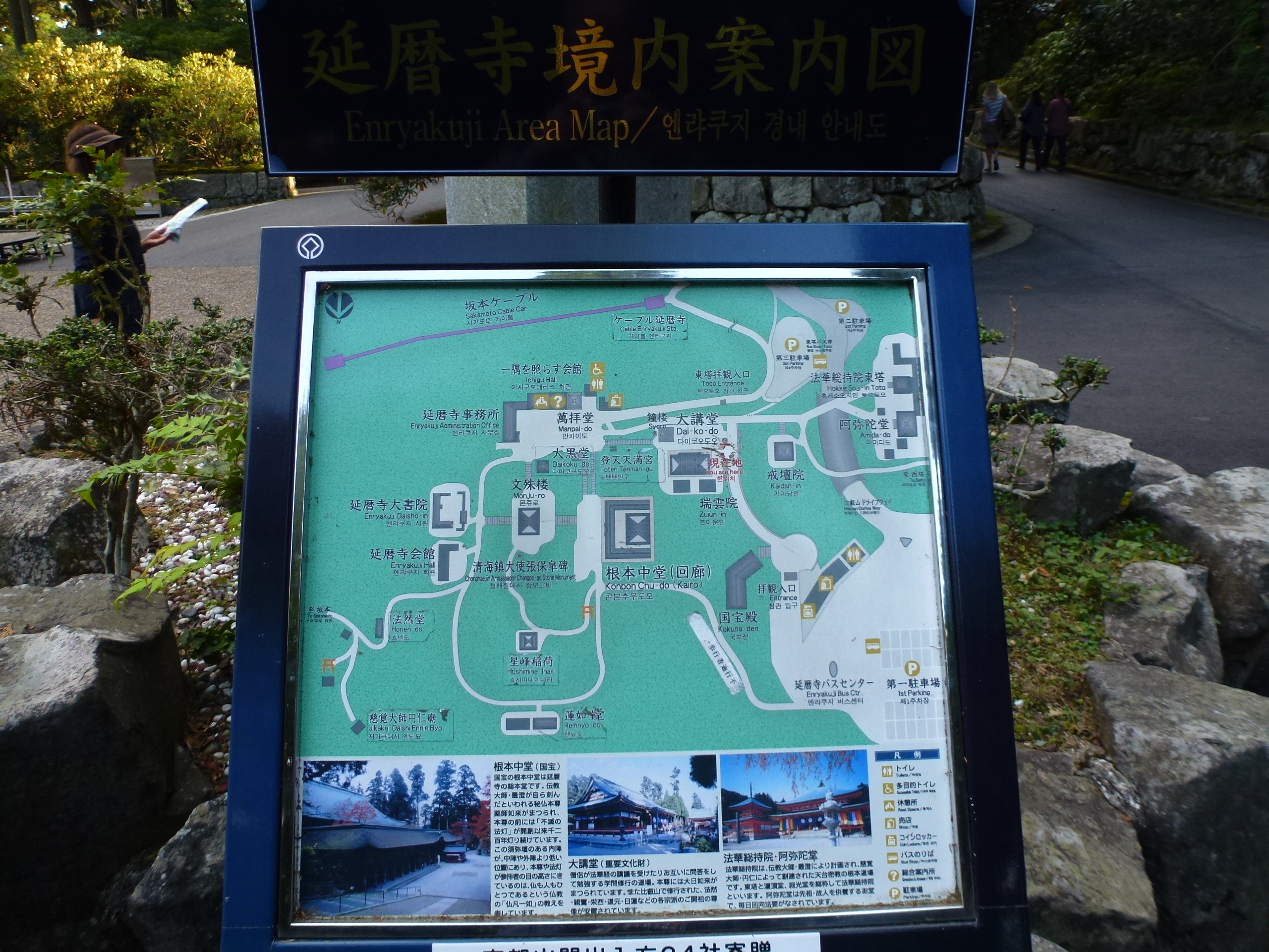 P1130576.JPG