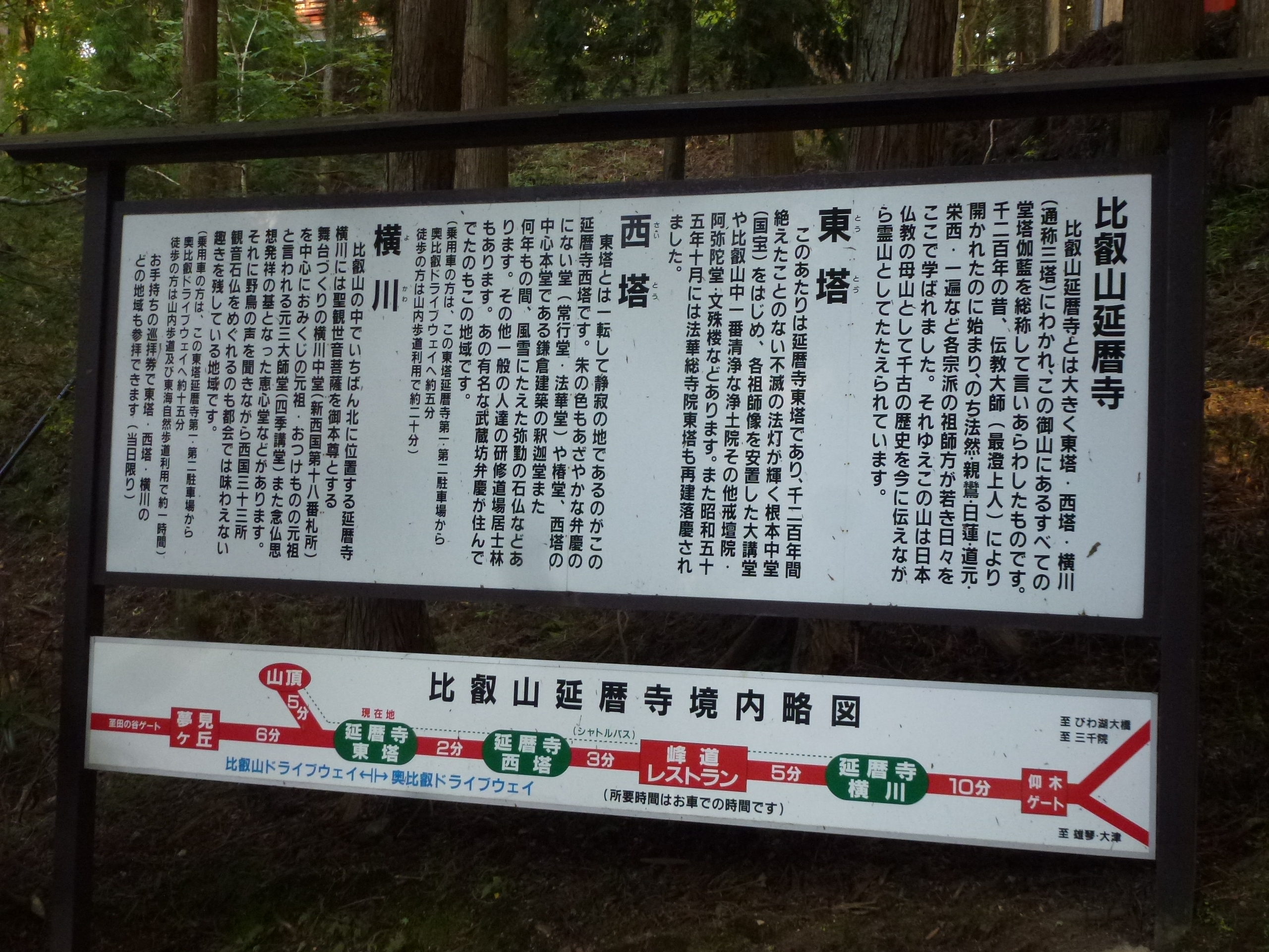 P1130580.JPG