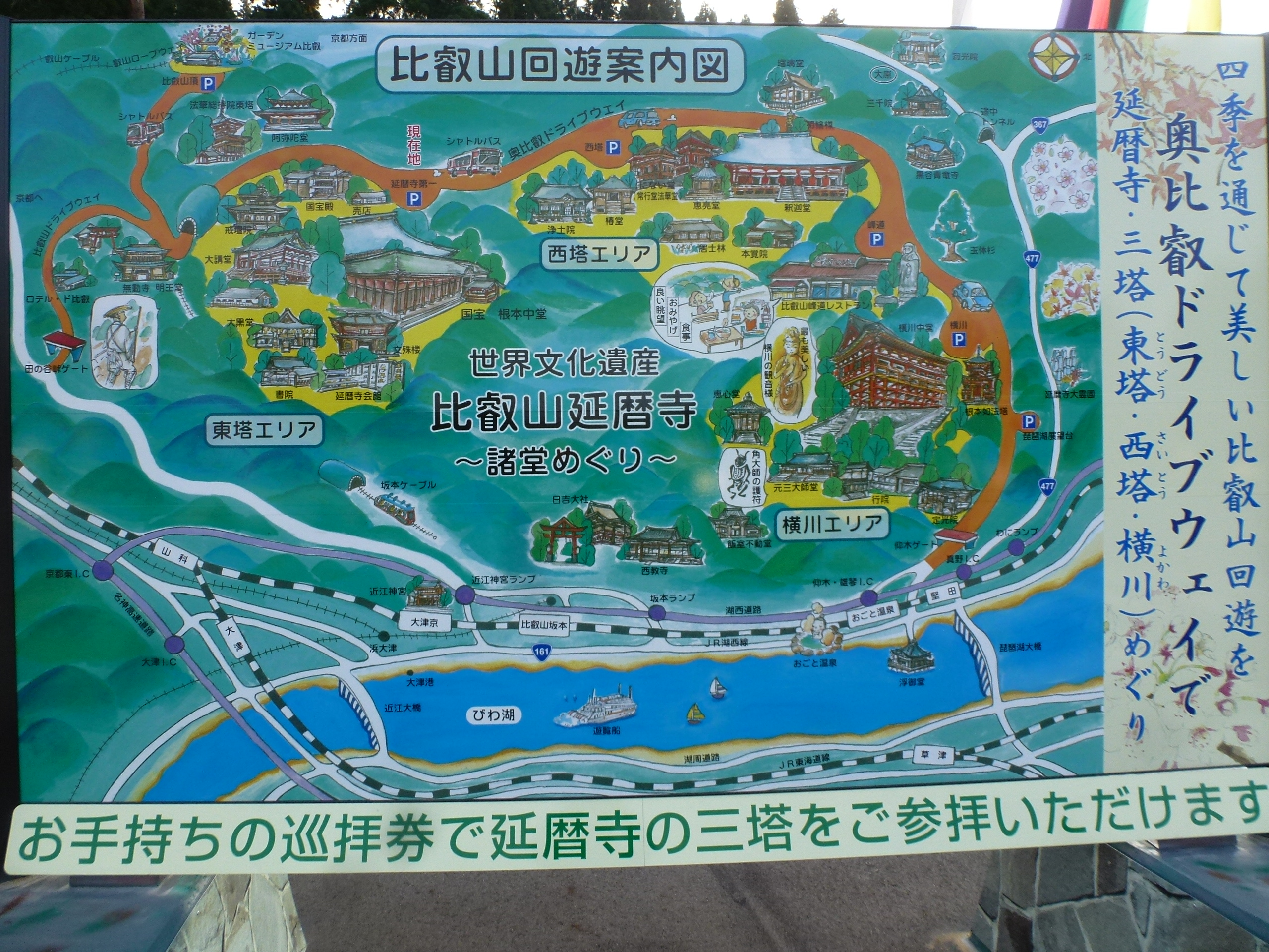 P1130581.JPG