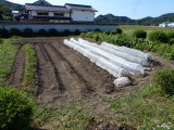 img0000.jpg