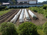 img0002.jpg