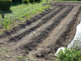 img0004.jpg