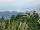 img0007.jpg