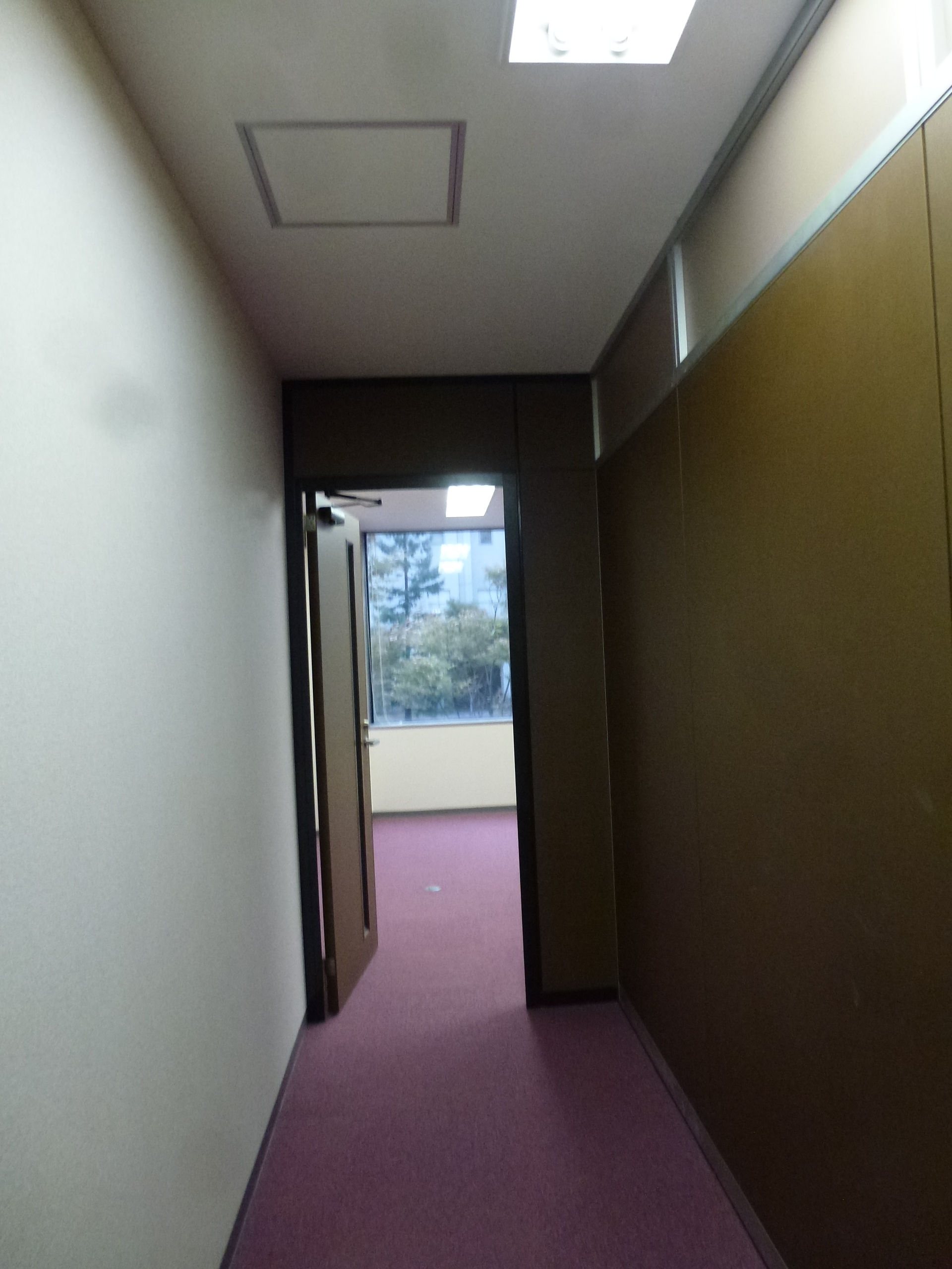 P1130588.JPG