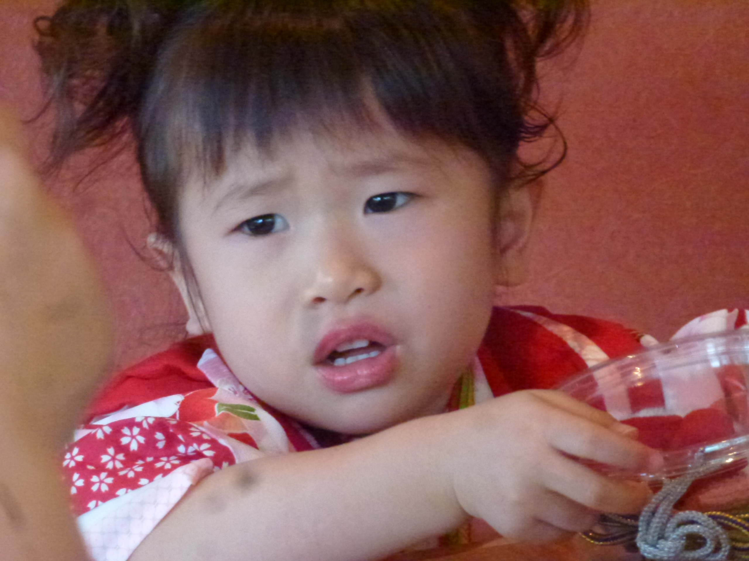 P1130747.JPG