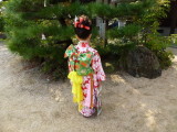img0082.jpg