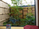 img0096.jpg