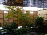img0097.jpg