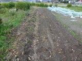 img0000.jpg