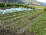 img0001.jpg