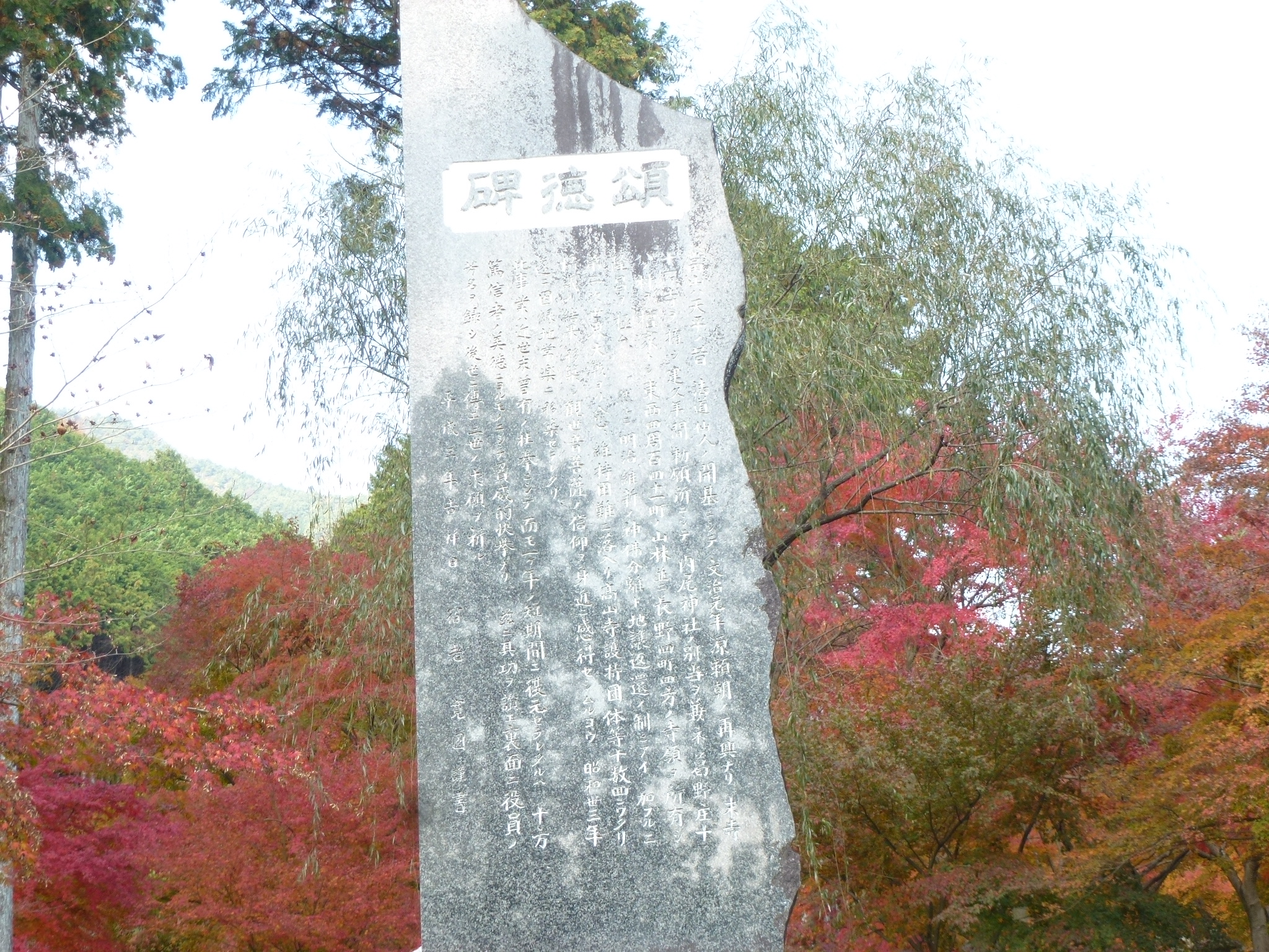 P1130855.JPG
