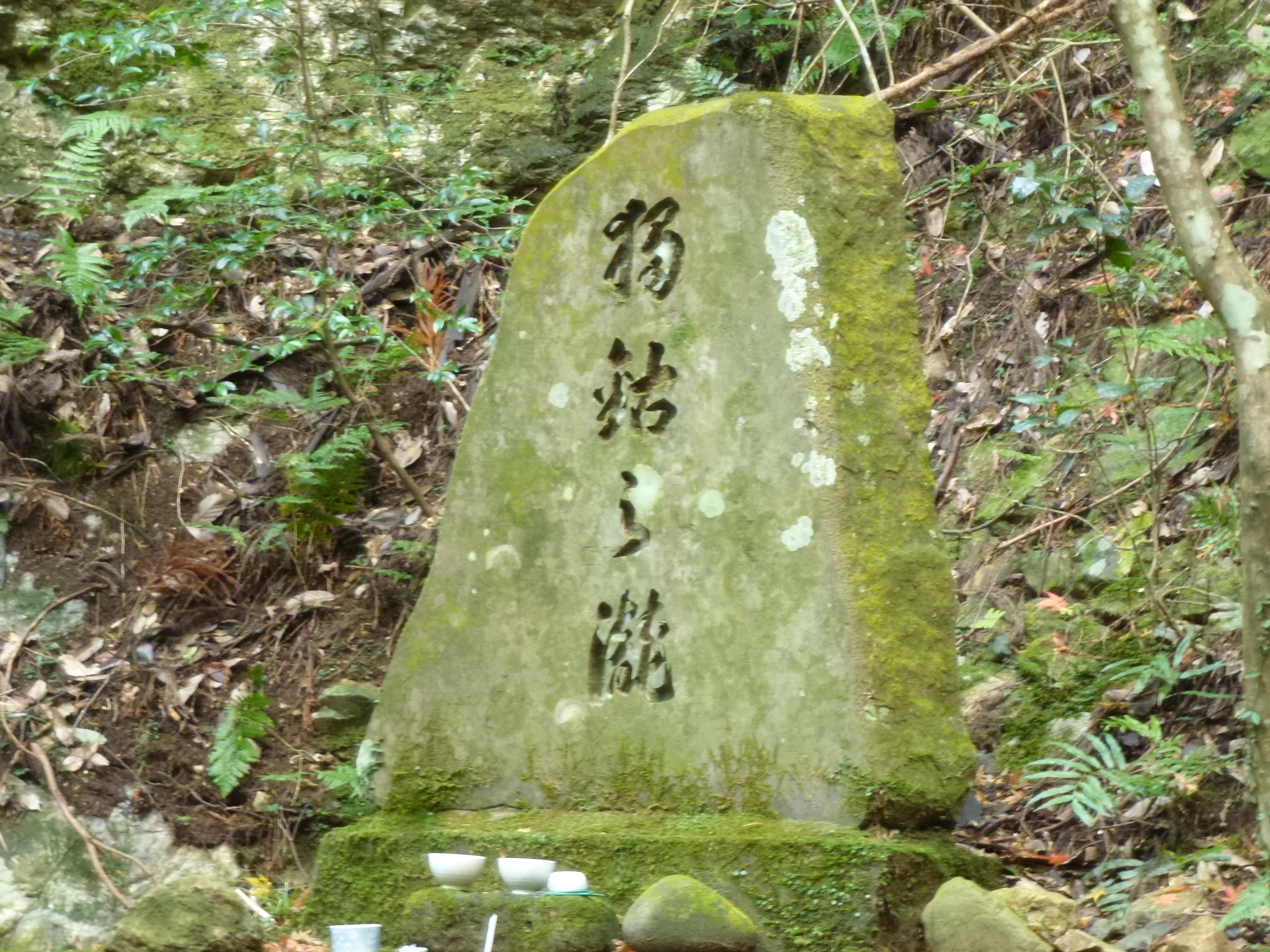 P1130864.JPG