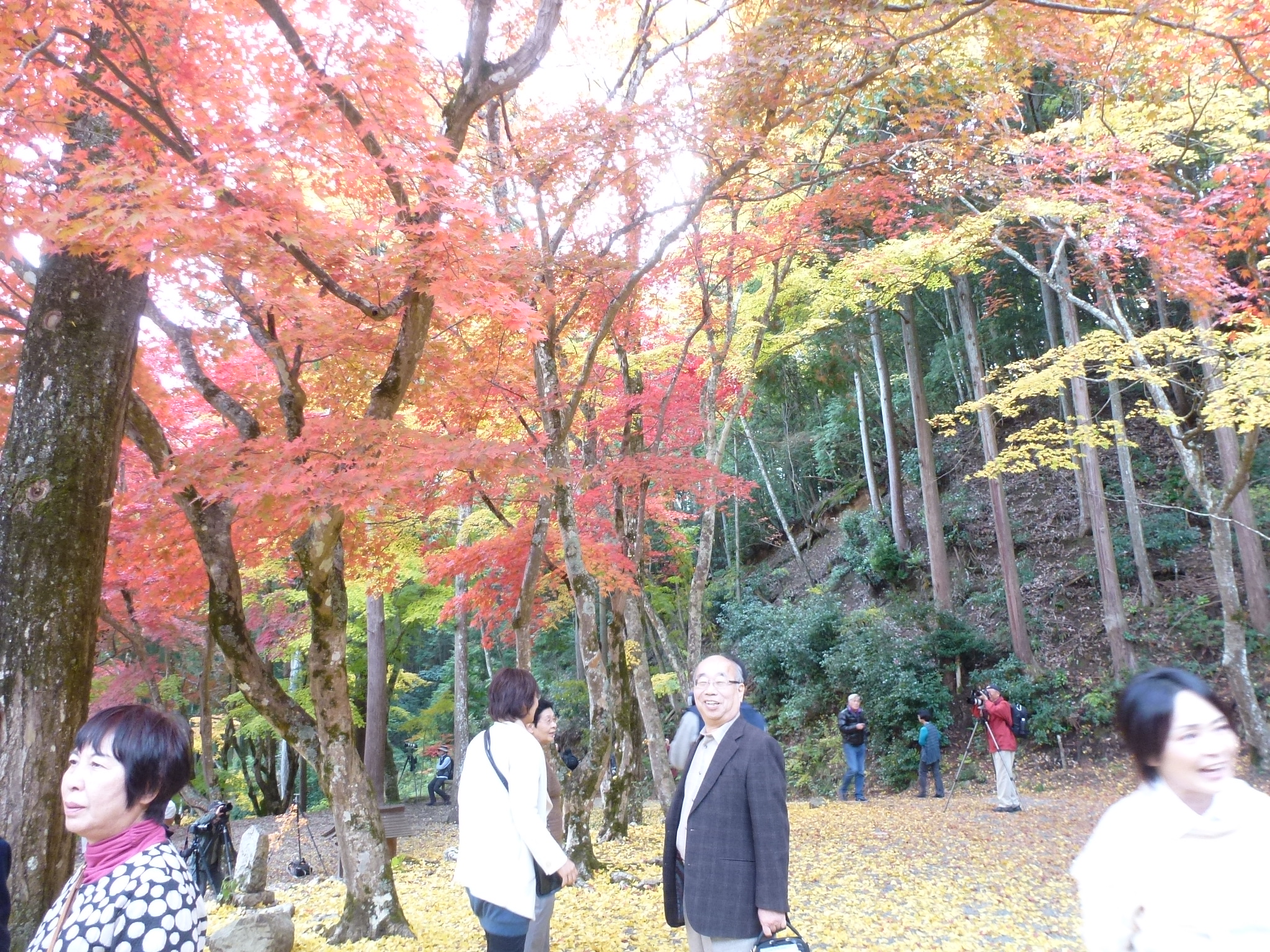 P1130876.JPG