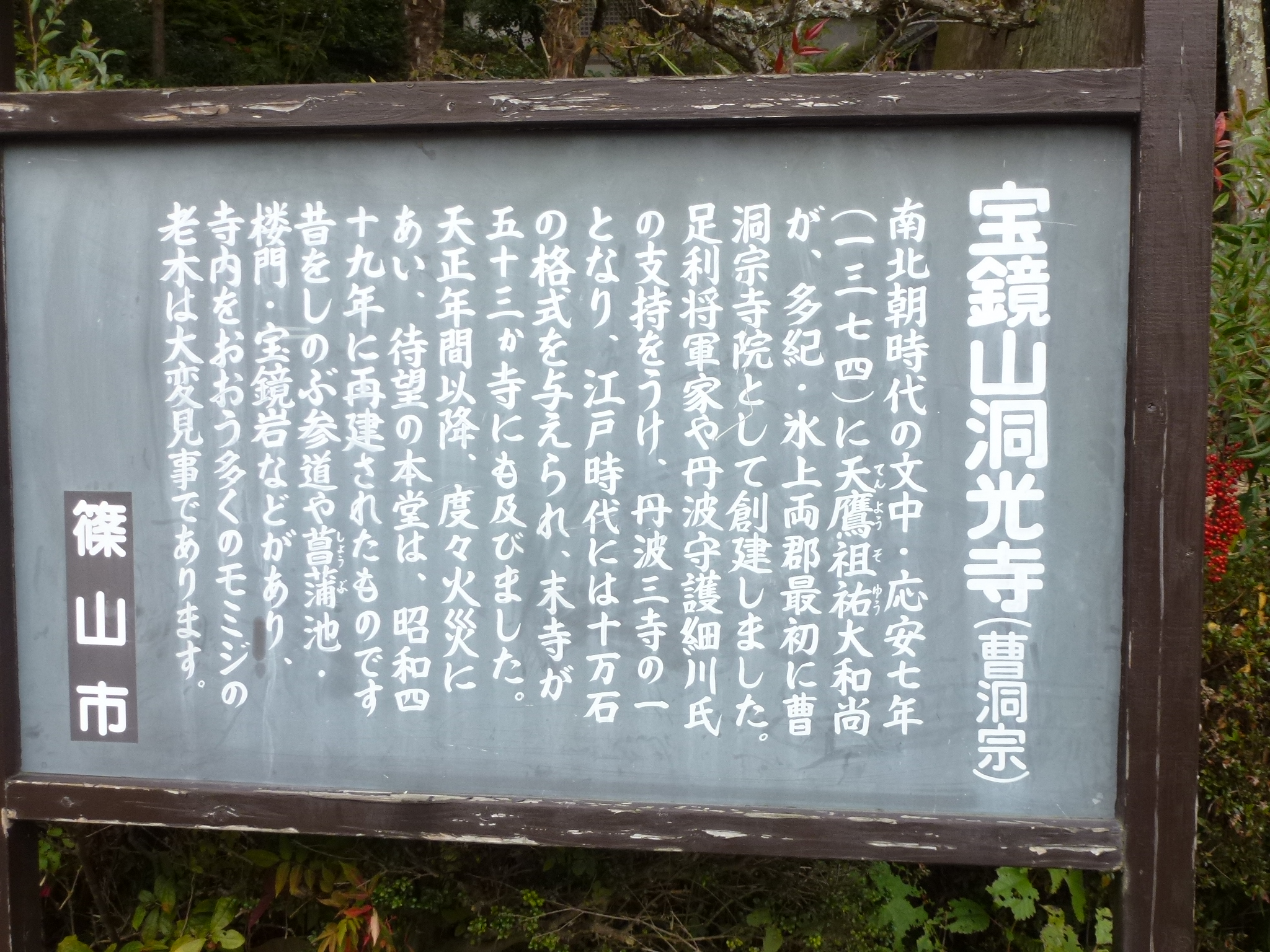 P1130891.JPG