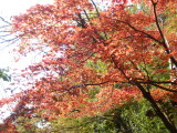 img0009.jpg