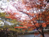 img0012.jpg