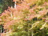 img0014.jpg