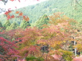 img0021.jpg