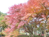 img0034.jpg