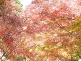 img0037.jpg