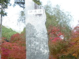 img0040.jpg