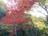img0046.jpg