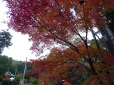 img0054.jpg