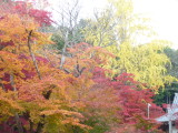 img0056.jpg