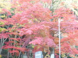 img0057.jpg